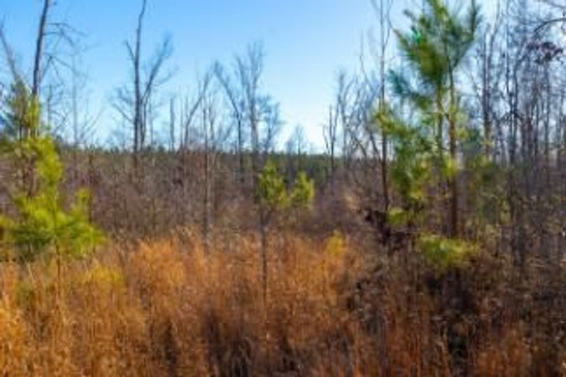 MCKINNON TRACT 15-09