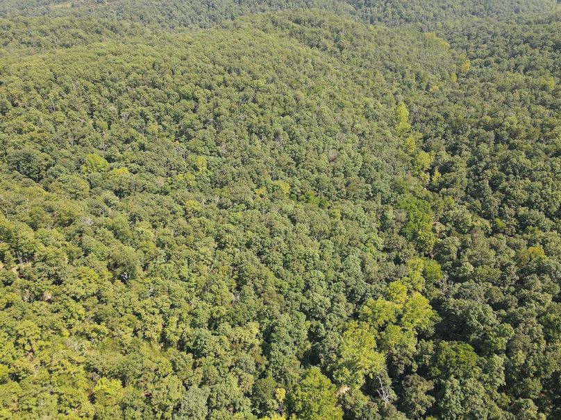 dji_fly_20250818_150642_658_1755547634235_photo