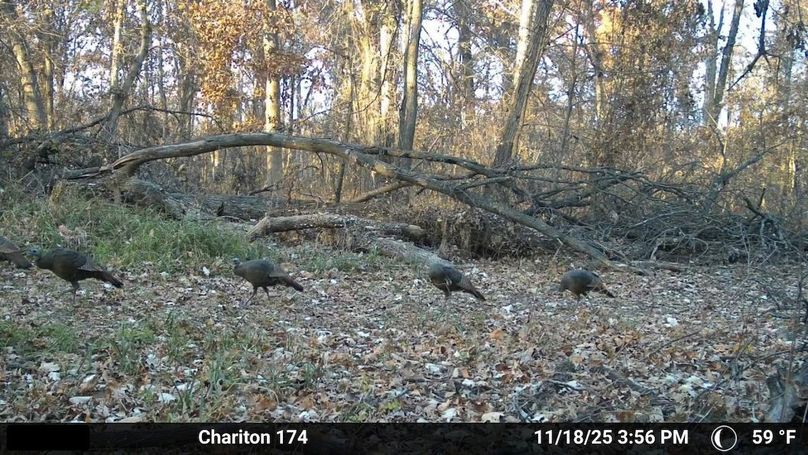 Temp_2704404-20251119132726-100MFCAM_MFDC0179