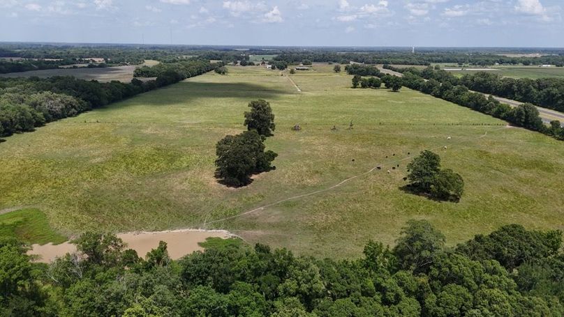 DJI_20250607033733_0007_D