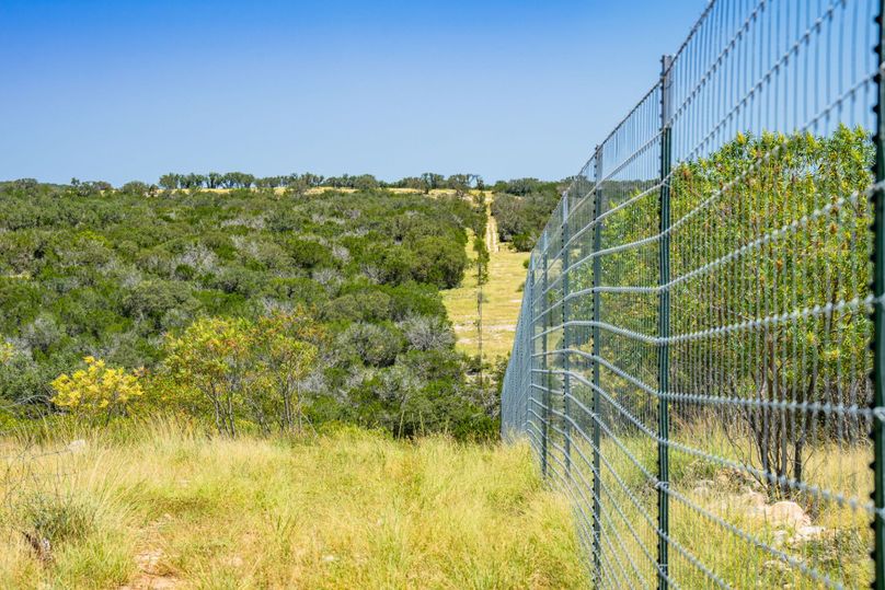 14-web-or-mls-DSC08401