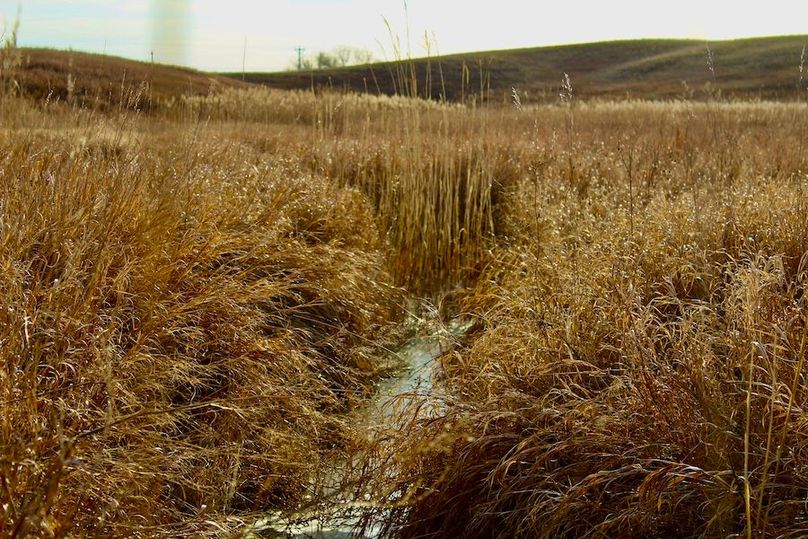 9_Tract_1_Small_Creek