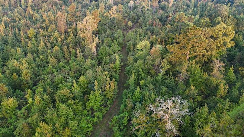 Madison Co - 40 - Clerk-09