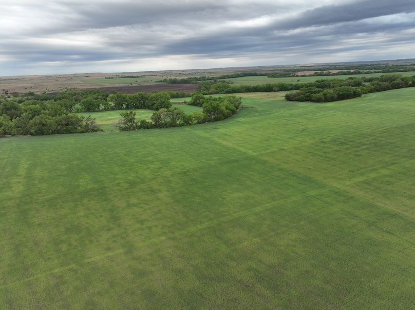 Copy of dji_fly_20240501_075840_969_1714569018904_photo