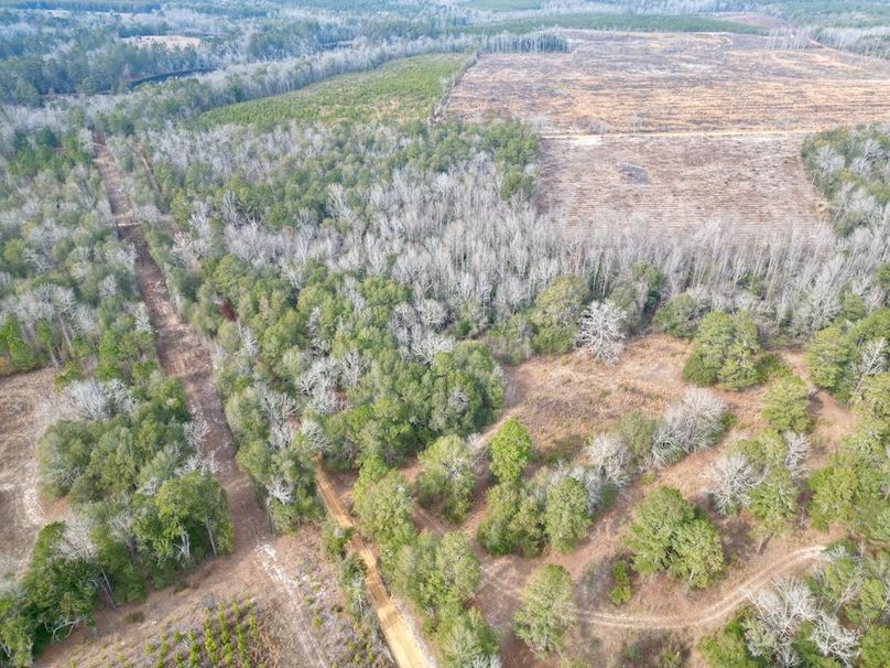 dji_fly_20260203_141432_651_1770146764045_photo