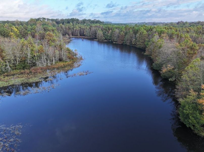 DJI_20251018095125_0126_D