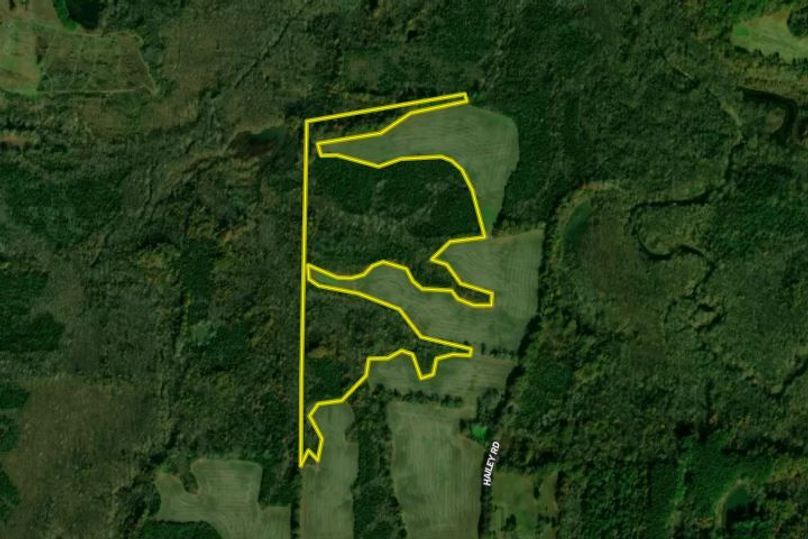 Aerial Johnson 43.113