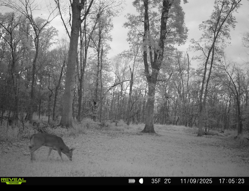 Screenshot 2026-04-09 at 12.52.15 PM