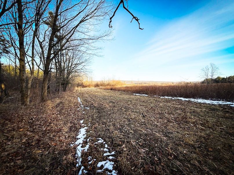 Seneca_24.54_Hohwald_Photos_32