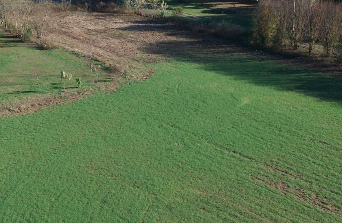 DJI_20241121152338_0031_D_ND16-Enhanced-SR