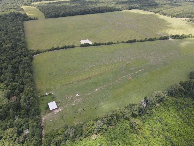 dji_fly_20250726_122152_584_1753550538491_photo