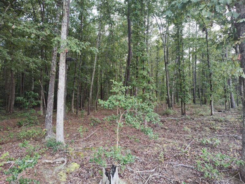 IMG_20250914_171341785