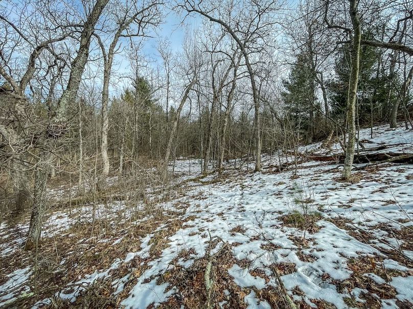 Adams 10.06 Johnson-37