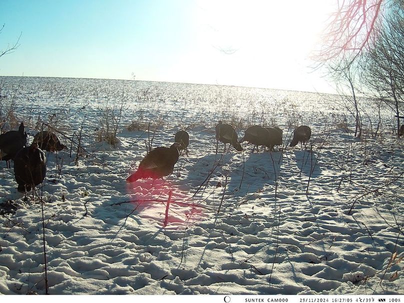 2024-1129-162706_000429