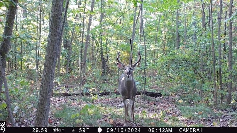 Trail Cam.4