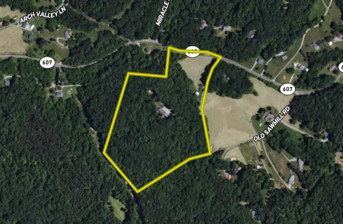 Close Aerial Botetourt - 21.39 - Reedy