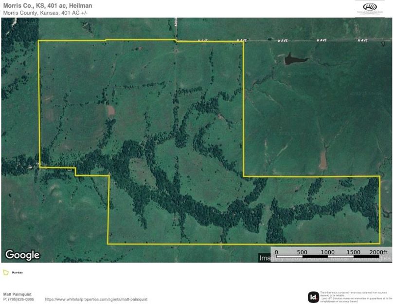 Morris 401 Aerial copy