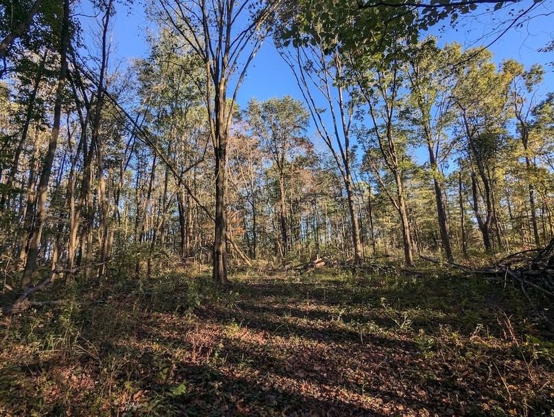 PXL_20251001_215422787