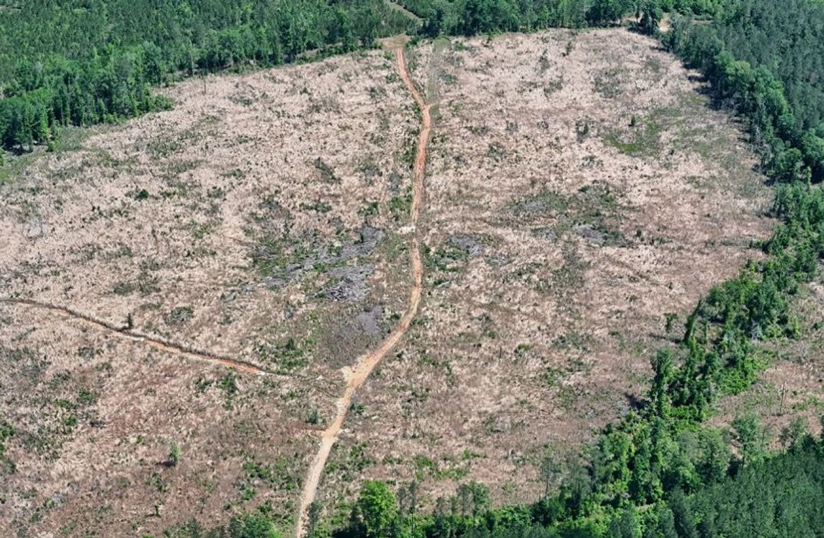 DJI_20250504003629_0462_D