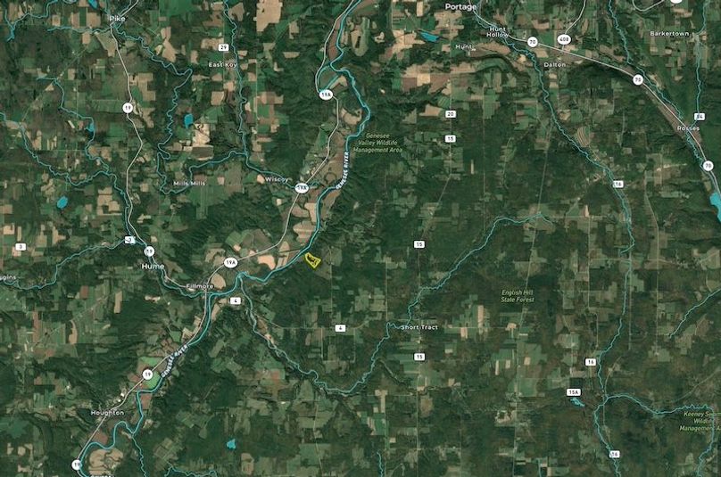 Zoomed out