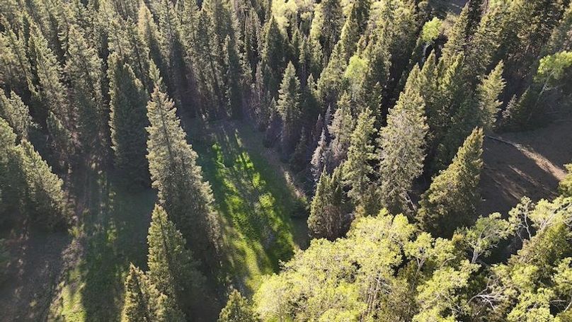 DJI_20250613191950_0046_D