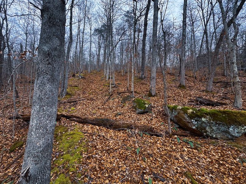 Ritchie, WV 100 AC Harper-43