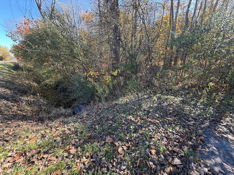 Wayne_18.11_Koehler Photo 19