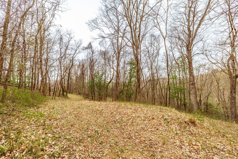 42-web-or-mls-Wolf Hill-20