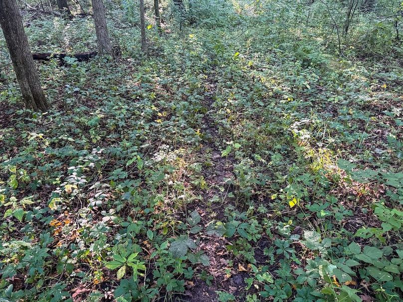 Pantzke Ground Photos-32