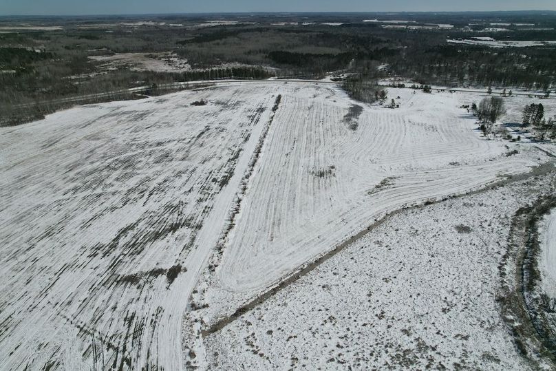 dji_fly_20260311_115704_117_1773248407383_photo (1)