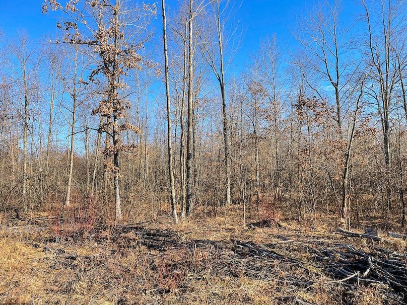 ClarK 160 WILLIAMS -48