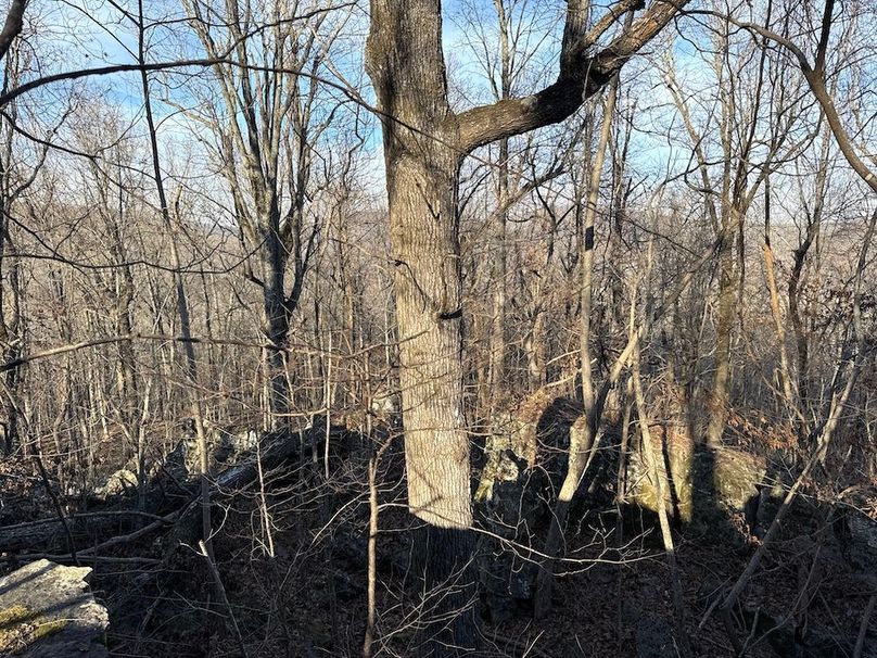 DJI_20260113_152340_772