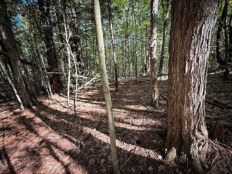 Tompkins_103.12_SusquehannaLandCo_Photos_8