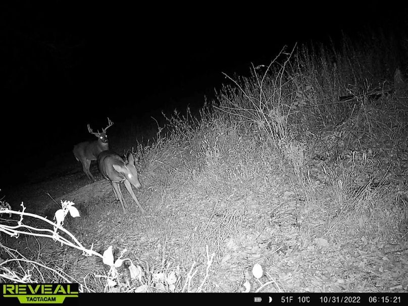 c7a5256b-6991-49ba-ad5b-776b1f2e0dc9