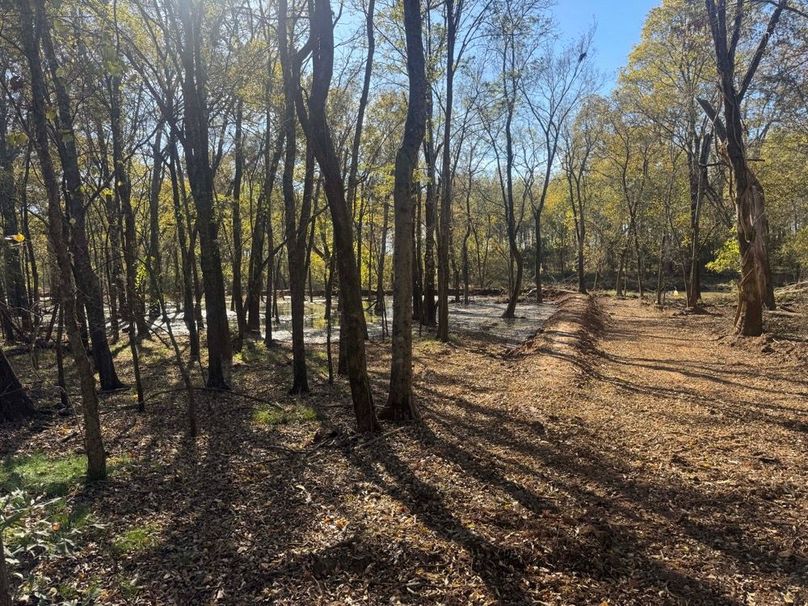 1a1 jeff 8320251111_0267