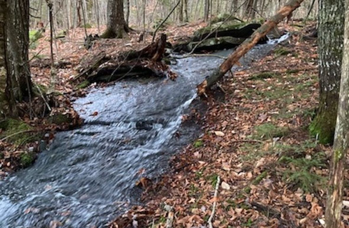 Allain Mtn Spring