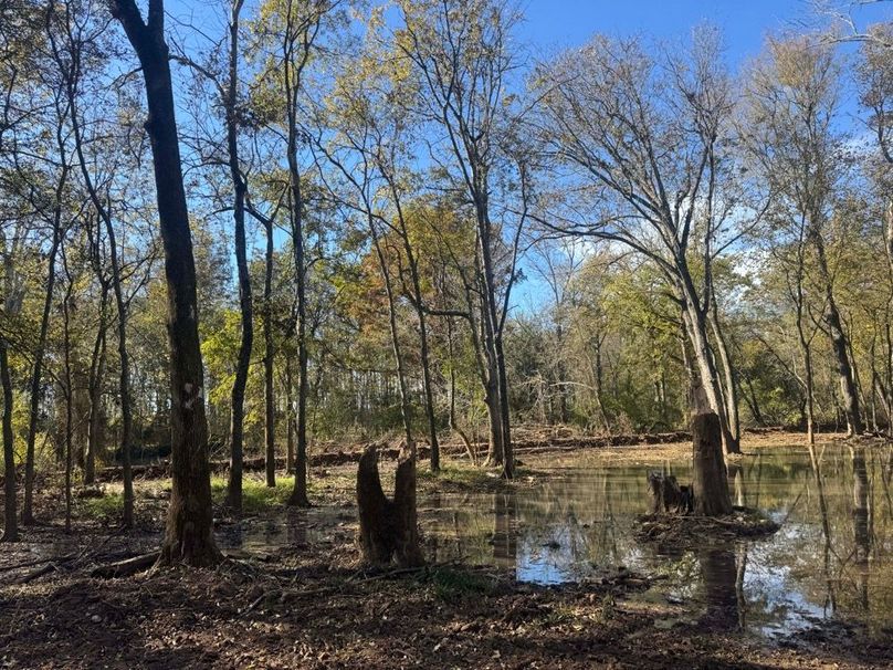 1a1 jeff 8320251111_0270