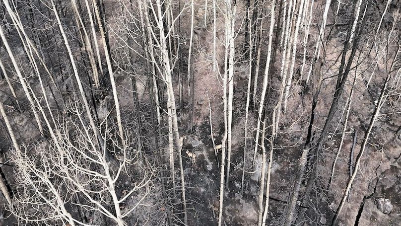 DJI_20250927085127_0106_D