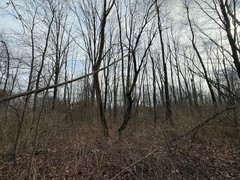 Tompkins_15.15_Galarza Photo 38