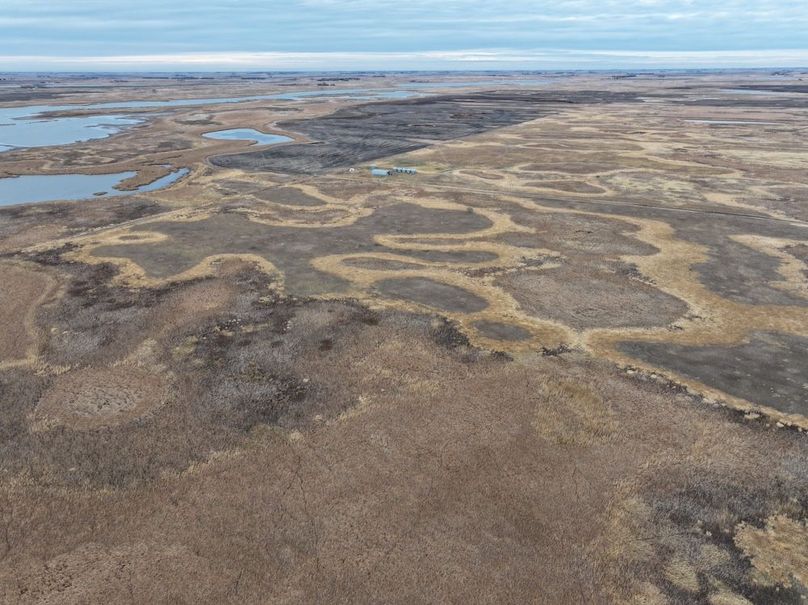 DJI_20241118113243_0329_D