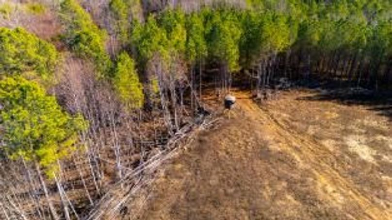 MCKINNON TRACT 29-23