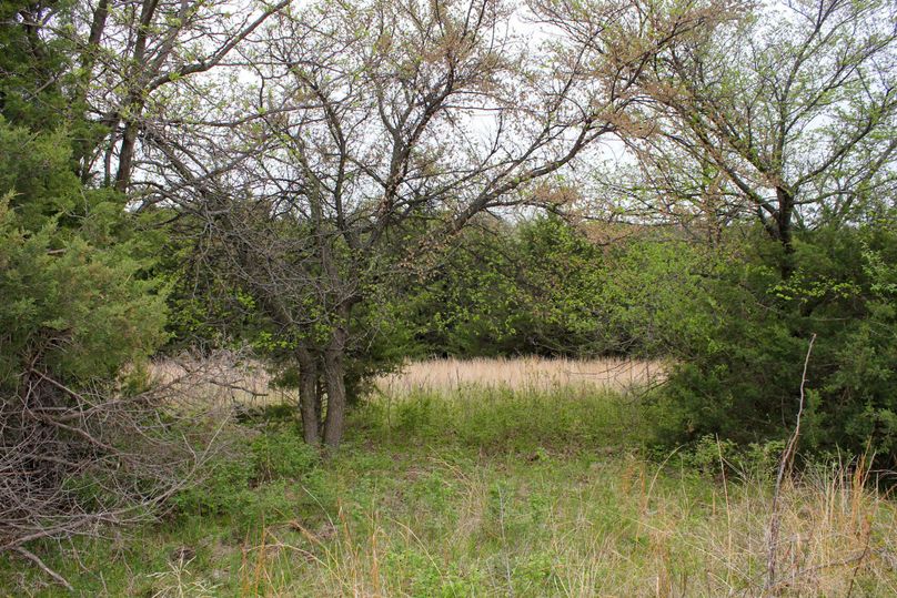 Washington, Co, 83.3_033