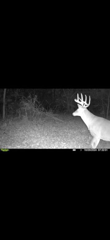 Screenshot 2026-02-27 at 4.15.20 PM