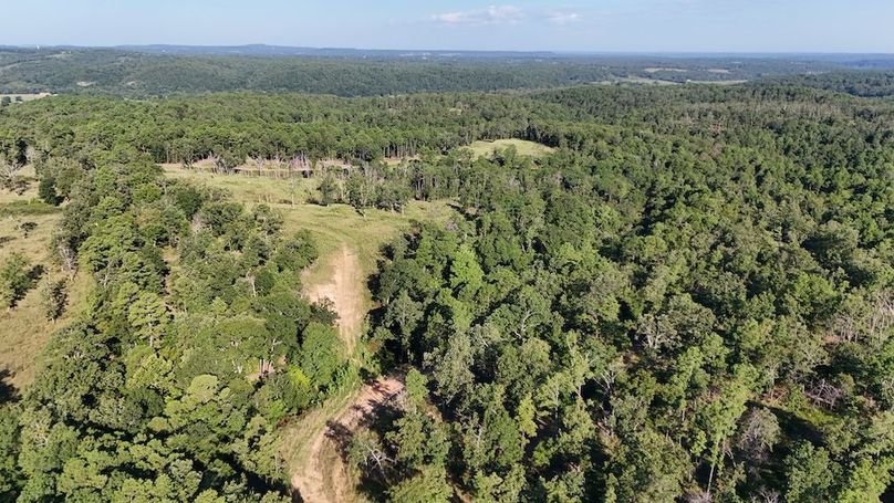 DJI_20250823100538_0088_D