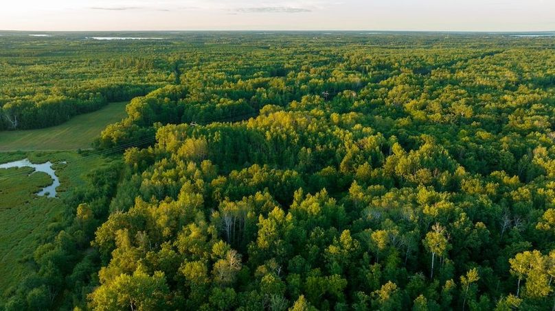 Cass MN 1095 Featured ProPhoto-102