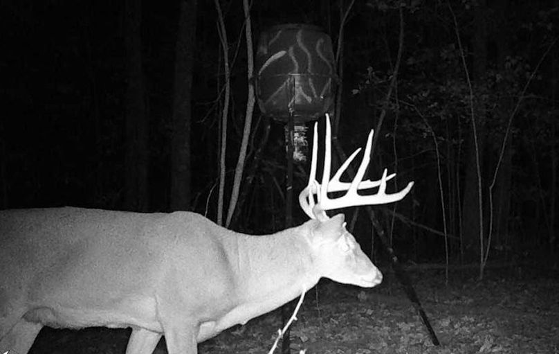 Trailcam 1