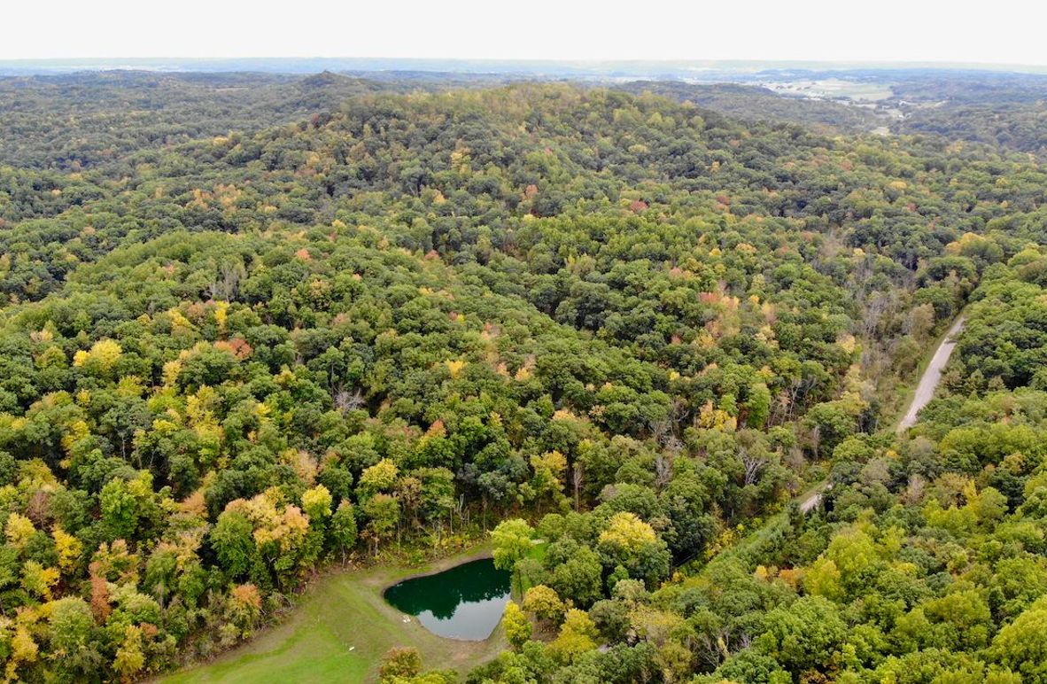 Monroe 66.23 - 1 of 46