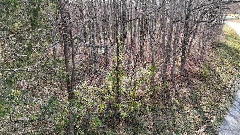 DJI_20251113133355_0690_D