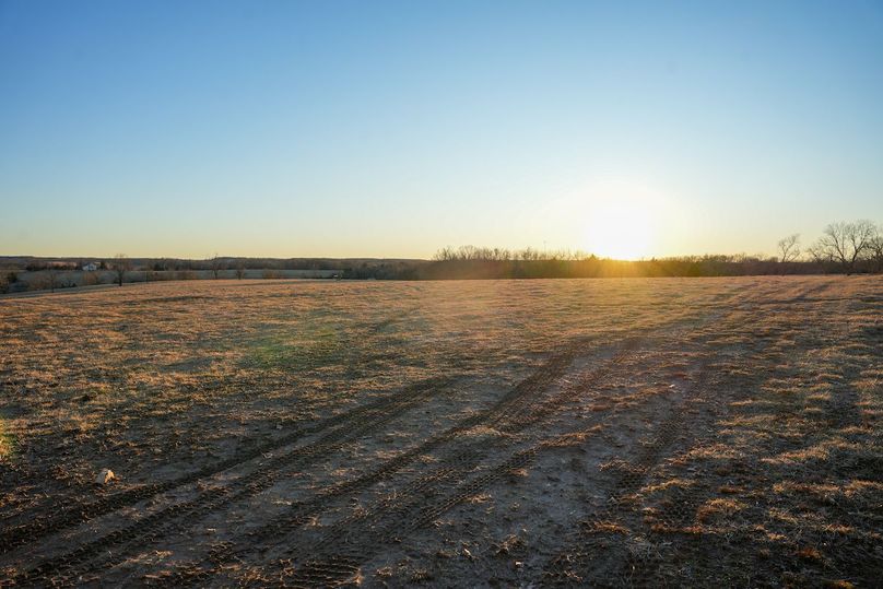 DSC02501bluestem