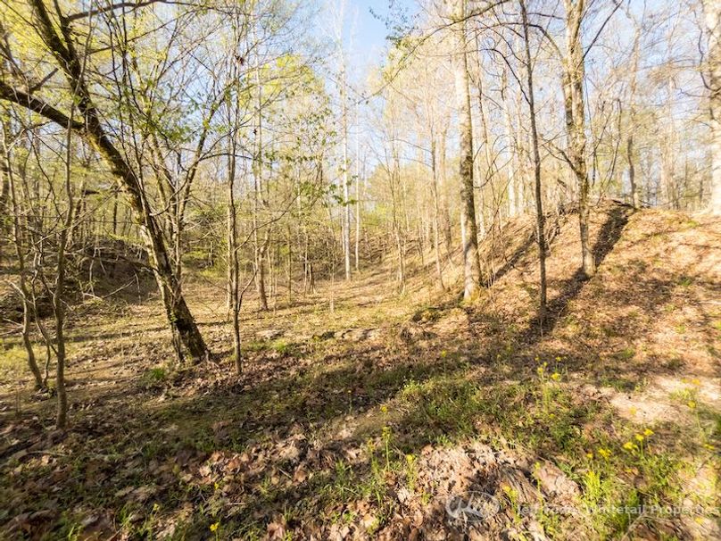 Warren Co - 45.5 - Bockman-81